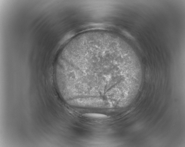 X0000065971411200603311827