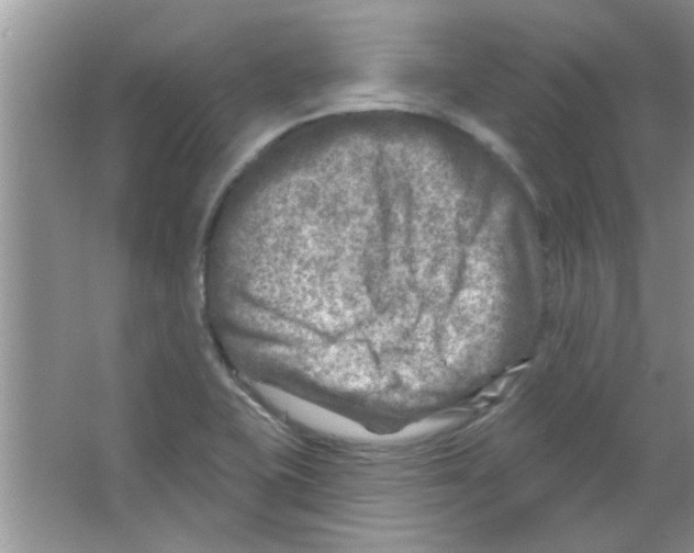 X0000065971415200603311827