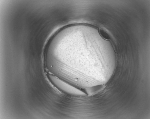 X0000065971416200603311827