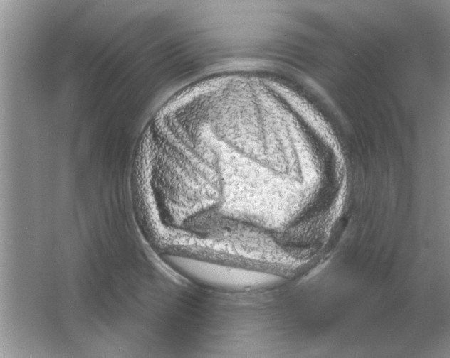 X0000065971417200603311827