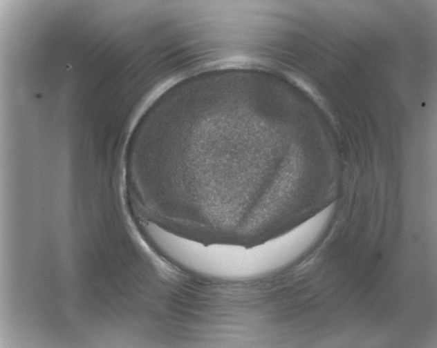 X0000065971418200603311827