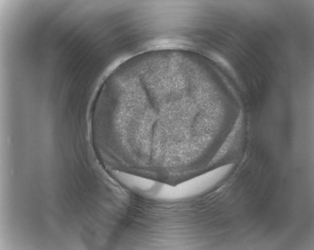 X0000065971419200603311827