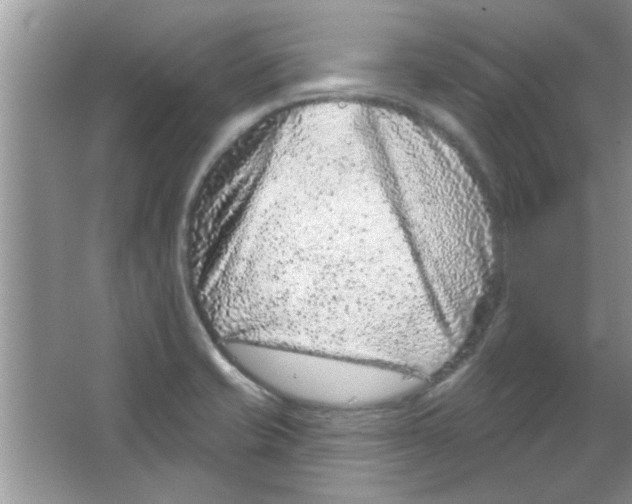 X0000065971421200603311827