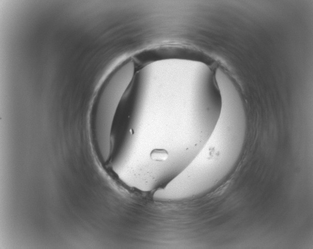 X0000065971422200603311827