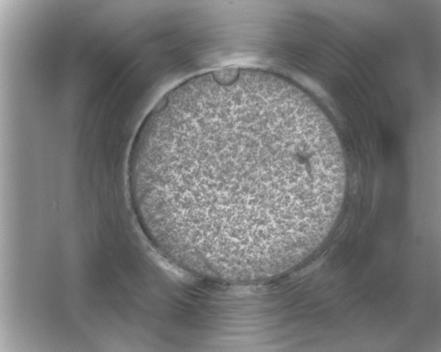 X0000065971423200603311827