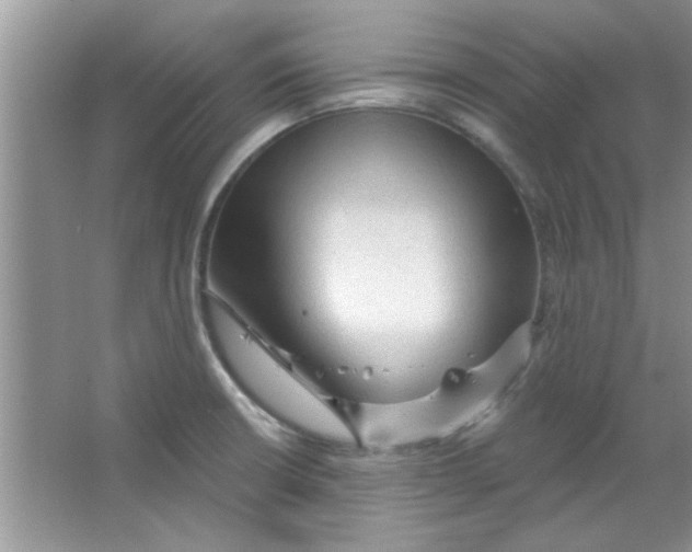 X0000065971426200603311827