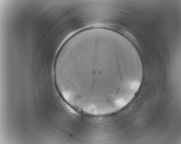 X0000065971428200603311827