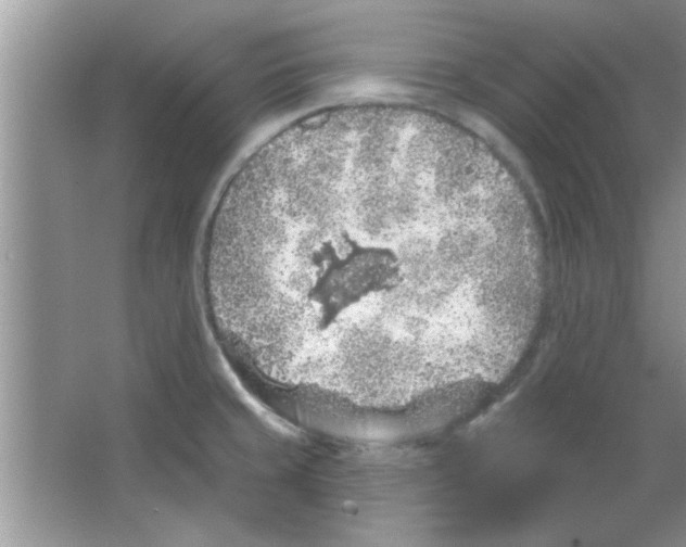 X0000065971429200603311827