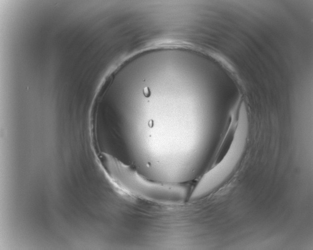 X0000065971430200603311827