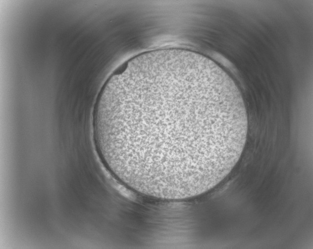 X0000065971431200603311827