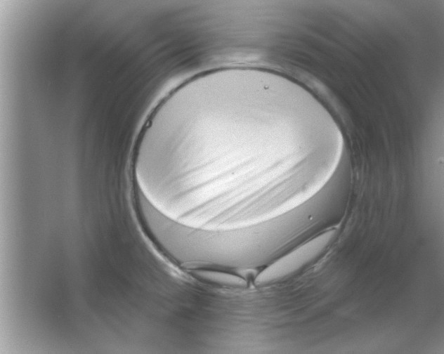 X0000065971432200603311827