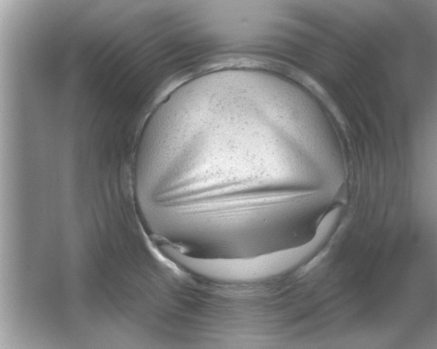 X0000065971433200603311827