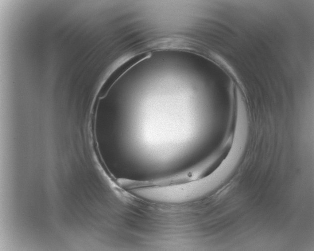 X0000065971434200603311827