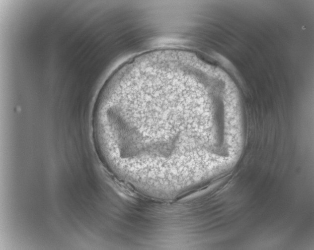 X0000065971435200603311827