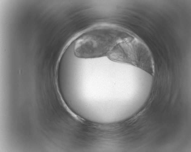 X0000065971437200603311827