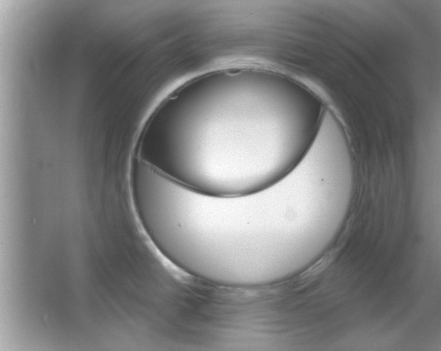 X0000065971438200603311827