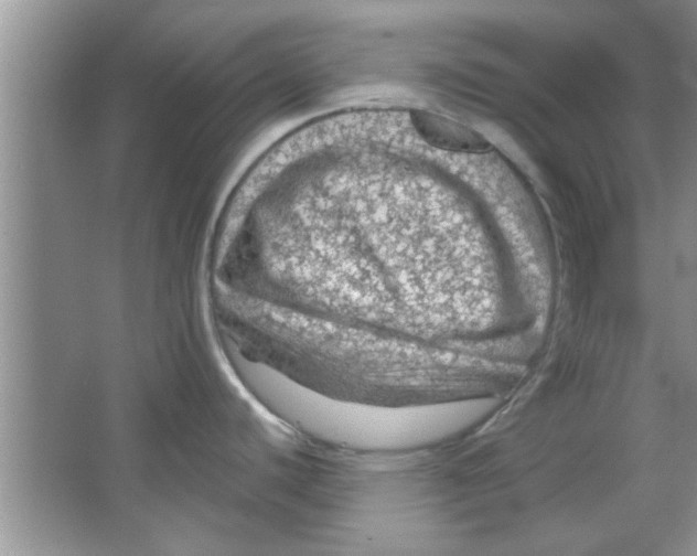 X0000065971440200603311827