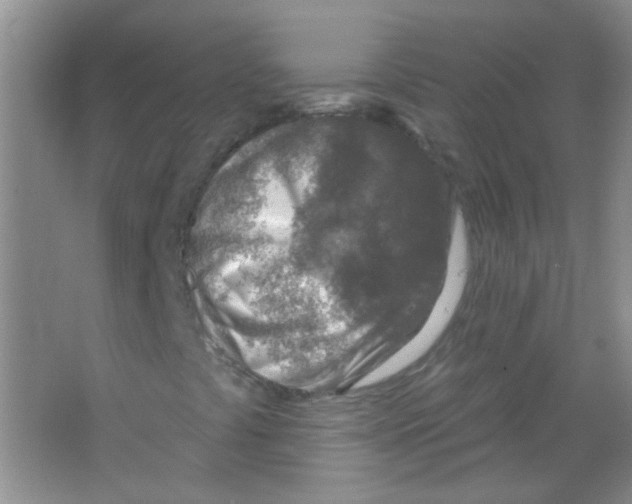 X0000065971441200603311826