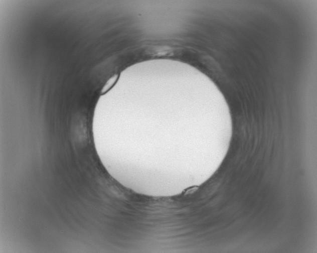 X0000065971442200603311826