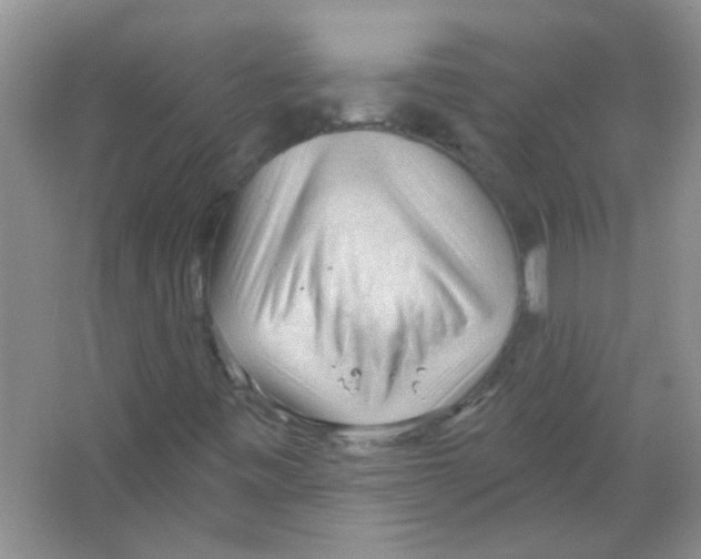 X0000065971443200603311826