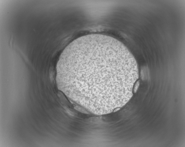 X0000065971444200603311826