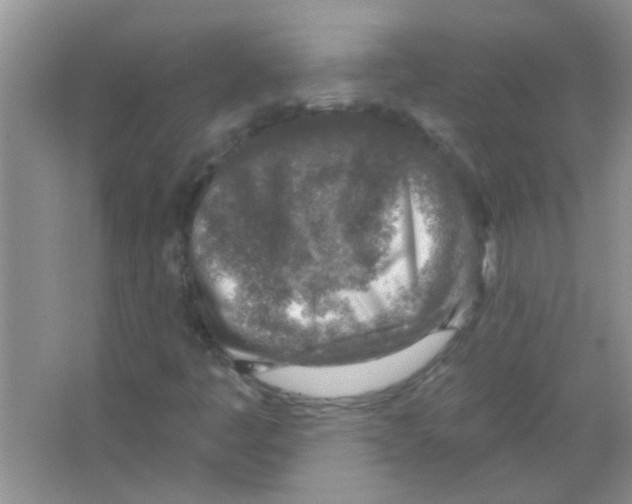 X0000065971445200603311826