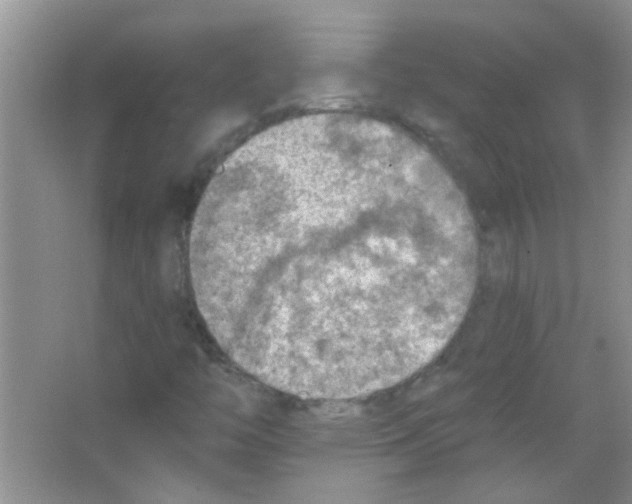 X0000065971446200603311826