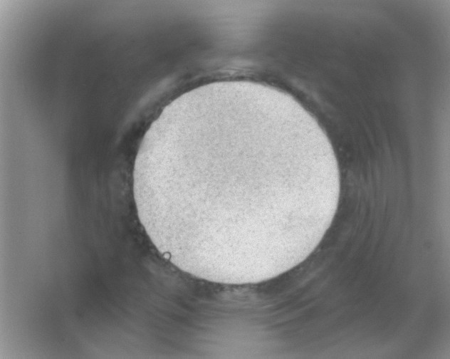 X0000065971447200603311826