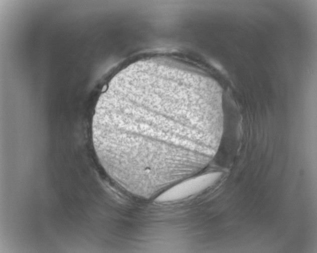 X0000065971448200603311826