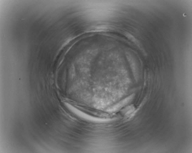 X0000065971449200603311826