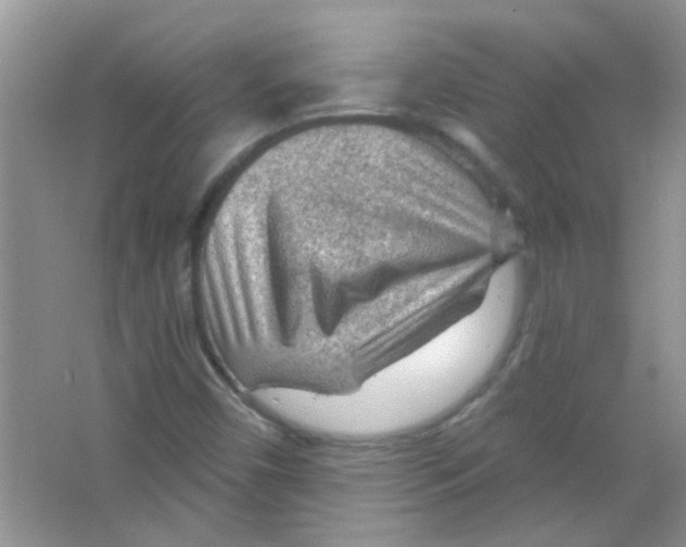 X0000065971450200603311826