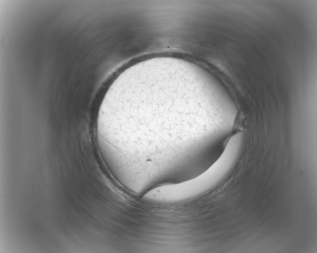 X0000065971452200603311826