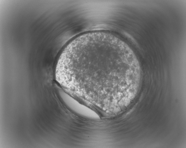 X0000065971457200603311826