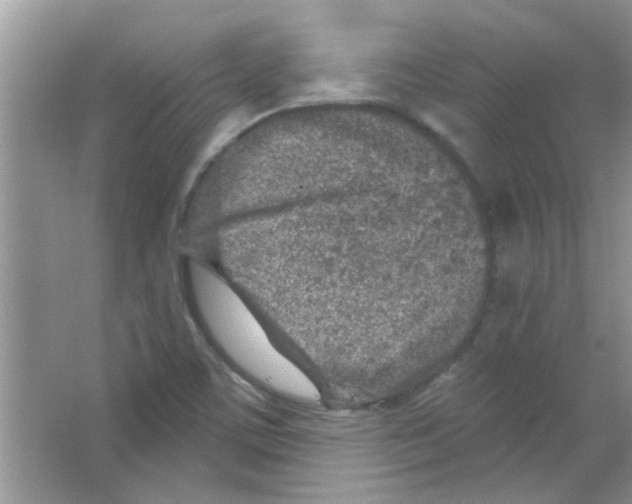 X0000065971459200603311826