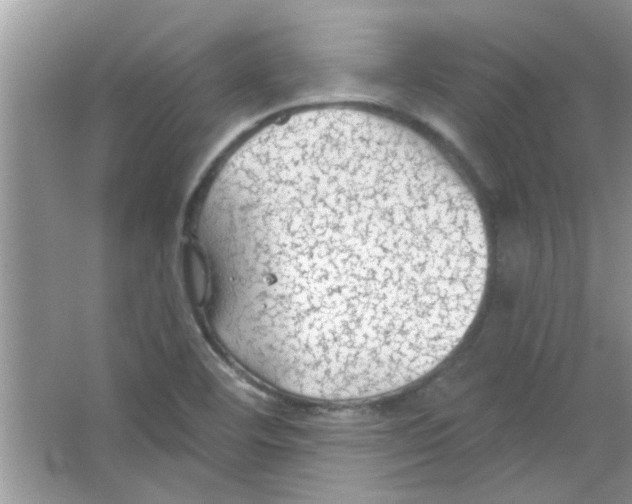 X0000065971460200603311826