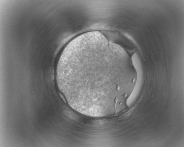 X0000065971461200603311826