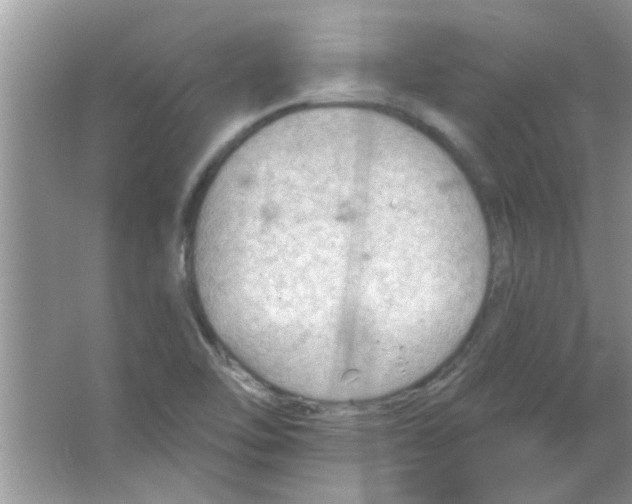 X0000065971462200603311826