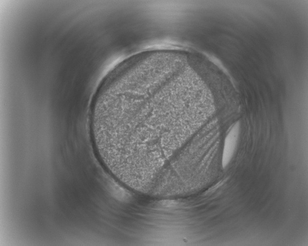 X0000065971463200603311826