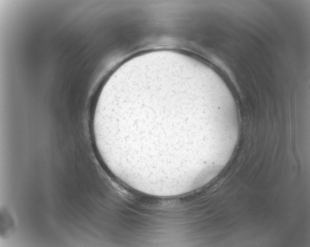 X0000065971464200603311826