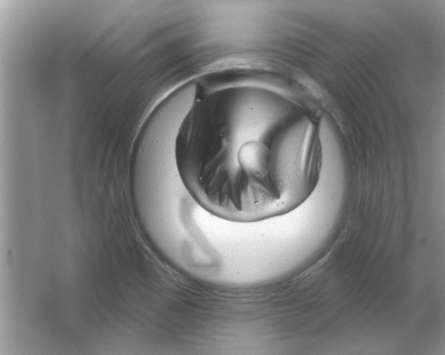 X0000065971465200603311826