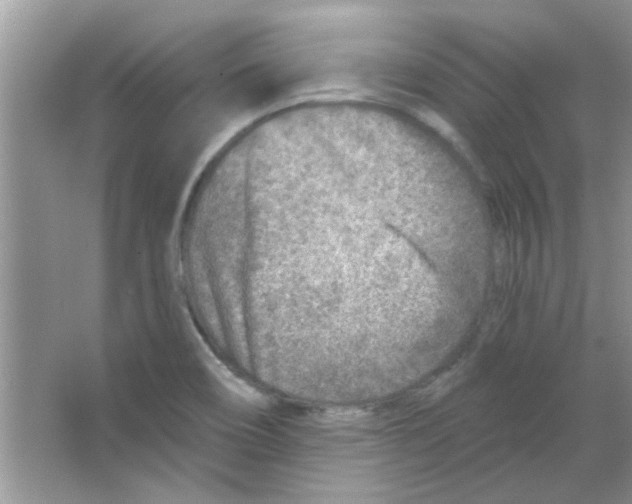 X0000065971466200603311826