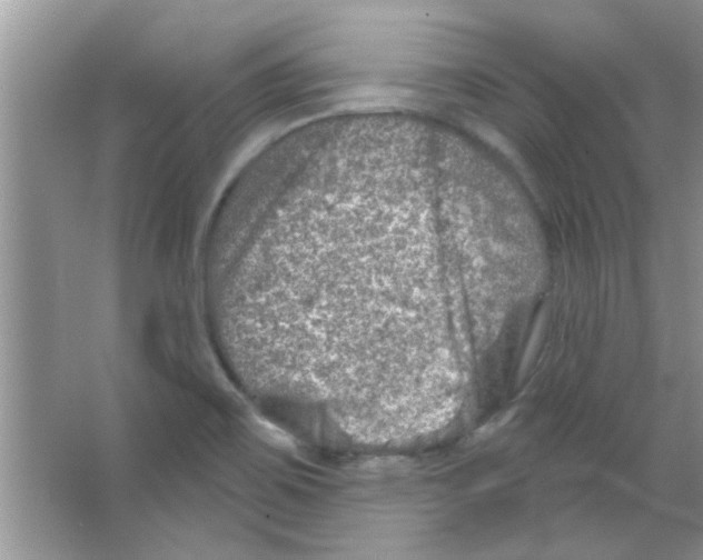 X0000065971467200603311826