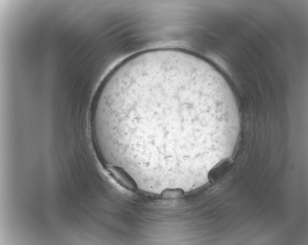 X0000065971468200603311826