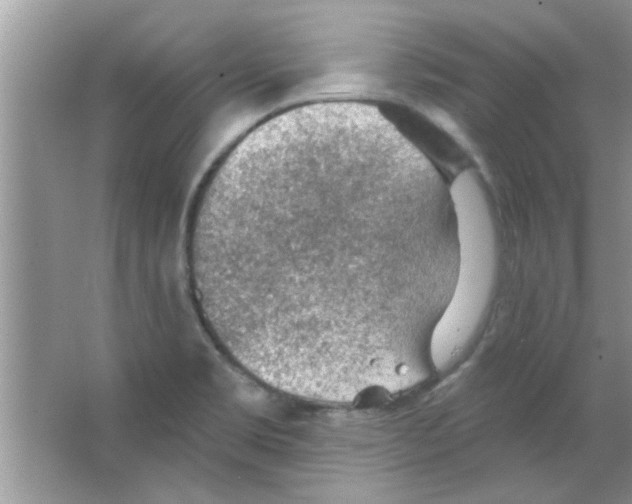 X0000065971469200603311826