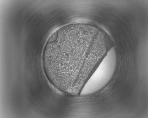 X0000065971471200603311826