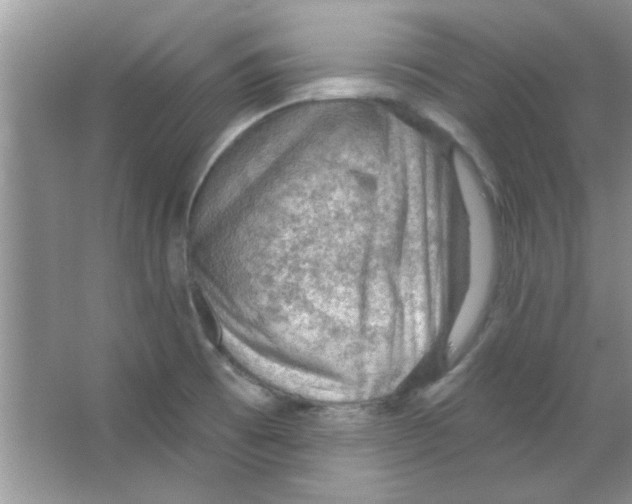 X0000065971473200603311826