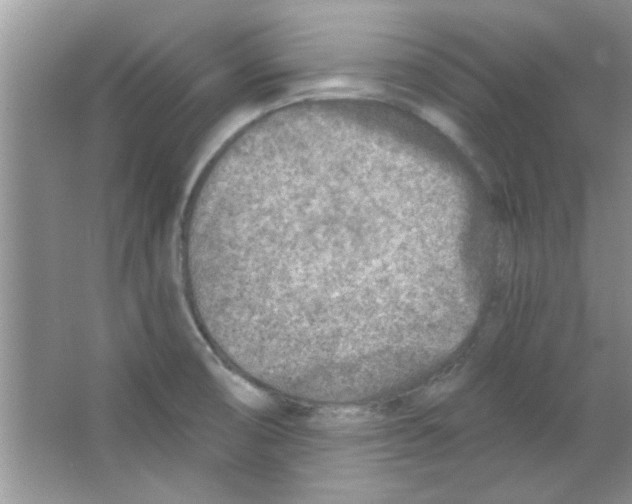 X0000065971474200603311826