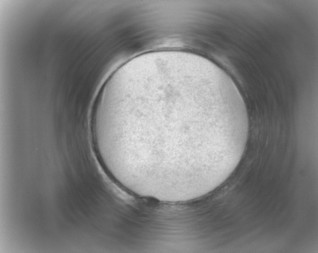 X0000065971475200603311826