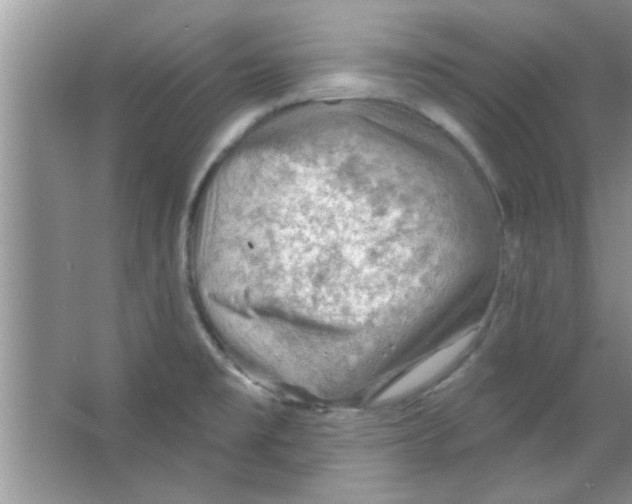 X0000065971477200603311826