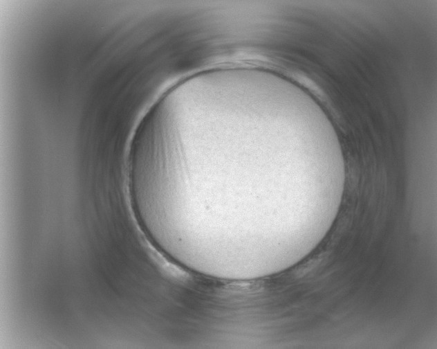 X0000065971478200603311826